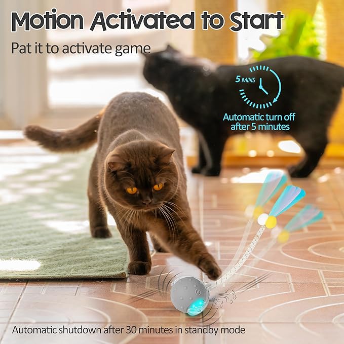 Interactive Cat Toys Ball for Indoor Cats, Automatic Moving Ball Toy with Elastic Mesh Tail, Chirping & Obstacle Avoidance and Motion Activated, Grey【Rechargeable】