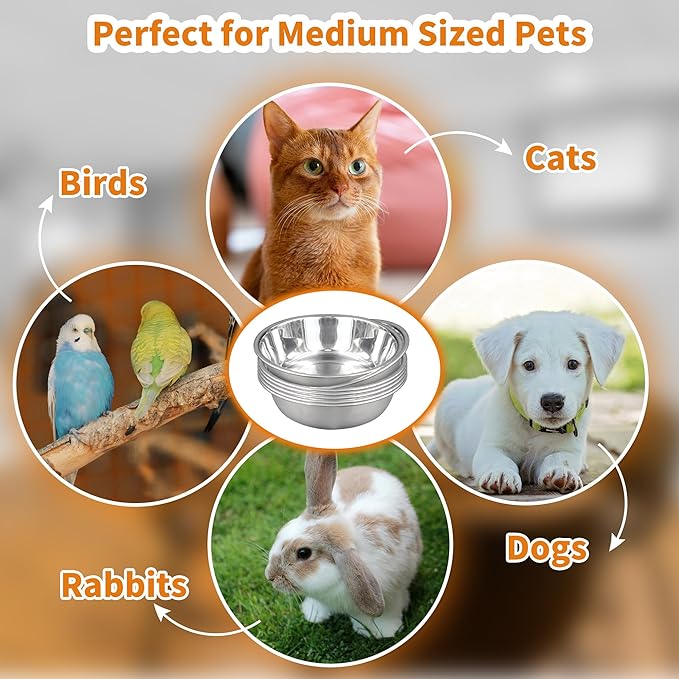 10 pcs Stainless Steel Cat Bowls for Indoor Cats, 5.5" Small Dog Water Bowl, 12 Oz Metal Cat Food Bowl Shallow Pet Bowls, Easy to Clean Dog Dishes for Food and Water (10Pcs)