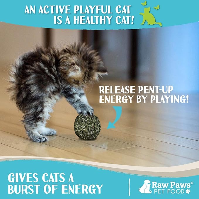 Raw Paws Catnip Balls for Cats, (6-Count) - Interactive Cat Toy for Indoor Cats - Cat Nip Licking Balls