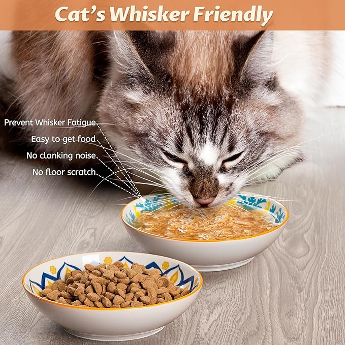 Cat Bowls, Ceramic Cat Food Bowl Set with Silicone Ring, Non-Slip Cats Dishes or Cute Plates for Feeding Indoor Cats, Kitten, Small Dogs (Bohemian-4 Pack, 5.5 Inches)