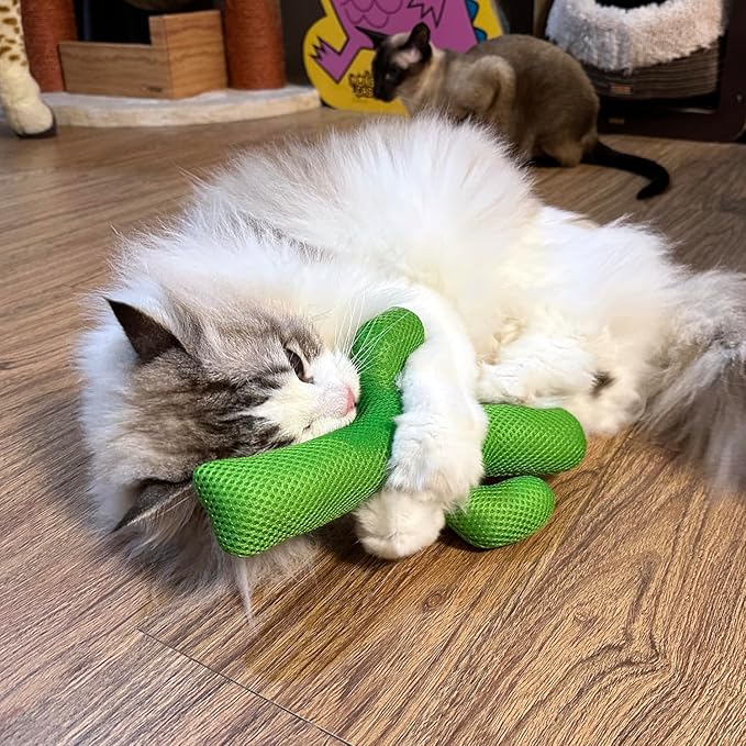 TTcat Catnip Silvervine Matatabi Pillow for Cats & Kittens,Large Cat Cactus Toy Cat Kicker Toy Chew Toy for Indoor Cats.