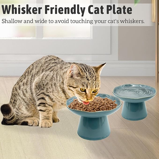 VCEPJH Elevated Cat Bowls 6.1in Shallow Cat Food Plate Pack of 2 Ceramic Raised Cats Dish Flat Anti Whisker Fatigue Wide Pet Food & Water Feeder for Indoor Kitty Kitten (Blue)