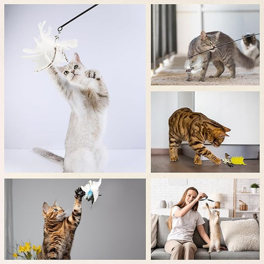 Variety Play Set, 5 Pack Refills for Wand and Fishing Poles, Spring Wires, Door/Wall Hang Ropes. 2 Bird, 2 Feather & Windmill Cat Toys - Bells & Easy Clip-On