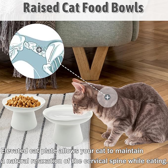 VCEPJH Raised Cat Food Bowls Shallow Cat Plate Pack of 2 Ceramic Elevated Cats Dish 6.1in Flat Anti Whisker Fatigue Wide Pet Food & Water Feeder for Indoor Kitty Kitten (White)