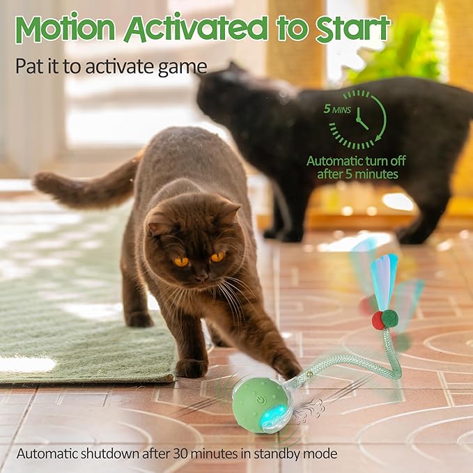 Interactive Cat Toys Ball for Indoor Cats, Automatic Moving Ball Toy with Elastic Mesh Tail, Chirping & Obstacle Avoidance and Motion Activated, Green【Rechargeable】