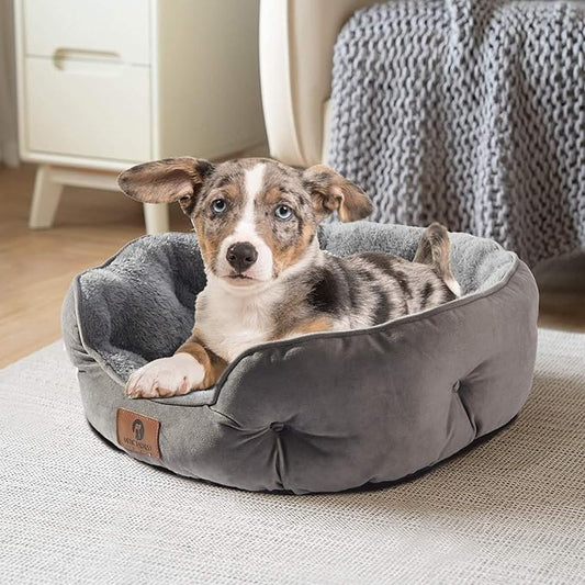 Asvin Medium Dog Bed for Medium Dogs, Cat Beds for Indoor Cats, Pet Bed for Puppy and Kitty, Extra Soft & Machine Washable with Anti-Slip & Water-Resistant Oxford Bottom, Grey, 25 inches