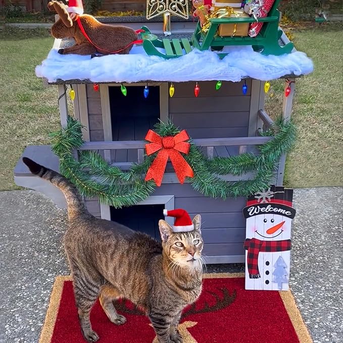 GUTINNEEN Outdoor Cat House Insulated, Weatherproof Cat Shelter with Insulation Liner for Winter, 2-Story Wooden Kitty Condo with Openable Waterproof Asphalt Roof, Elevated Plastic Feet