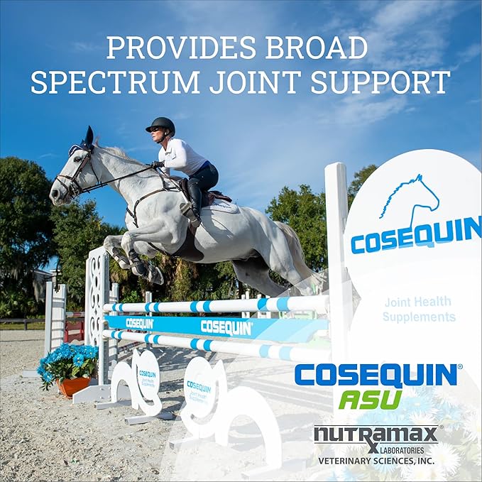 Nutramax Cosequin ASU Joint Health Supplement for Horses - Powder with Glucosamine, Chondroitin, ASU, and MSM, 500 Grams