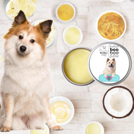 The Blissful Dog Icelandic Sheepdog Boo Boo Butter, 2 Ounce