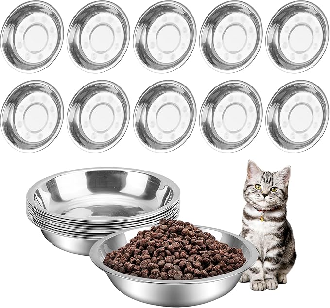 HUOIQUE 10 Pcs 6.2 Inches Stainless Steel Cat Bowls, Whisker Fatigue Cat Bowl for Food and Water, Metal Shallow Cat Dishes