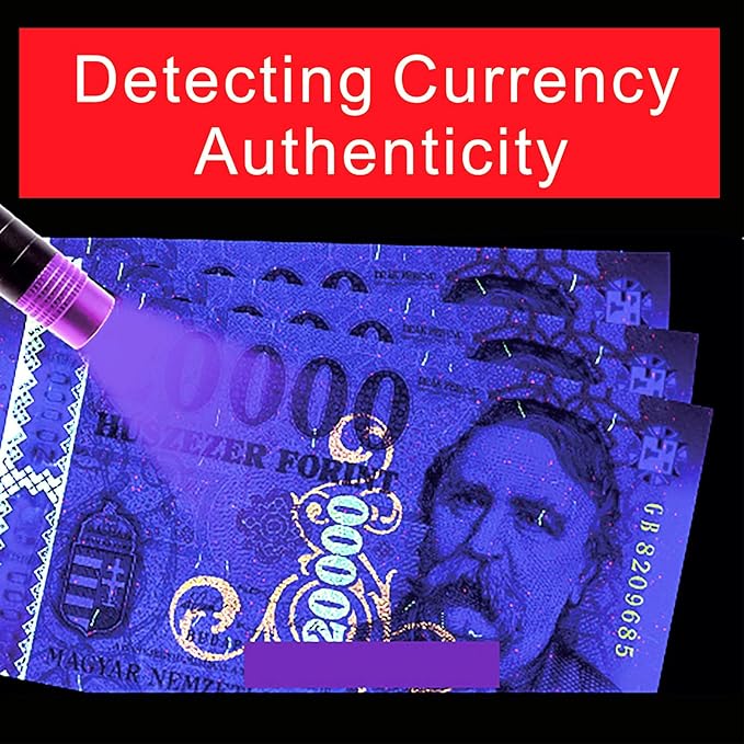 365nm UV Flashlight, Portable Black Light LED Flashlight, Mini Black Light for Pet Urine Detection, Handheld UV Flashlight for Resin Pet Urine Nails Money Pack of 2