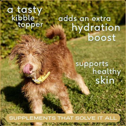 Native Pet Bone Broth for Dogs and Cats - Chicken Bone Broth Powder Dog Food Toppers for Picky Eaters - Provides Extra Nutrition for Joint Strength, Immune Support & Heart Health - 96 Scoops