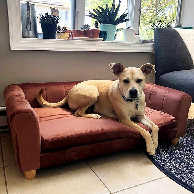 CRITTER SITTERS 42-in. Elegant Brown Faux-Velvet Rectangular Dog Sofa for Medium and Large Dogs, Elevated Plush Dog Couch