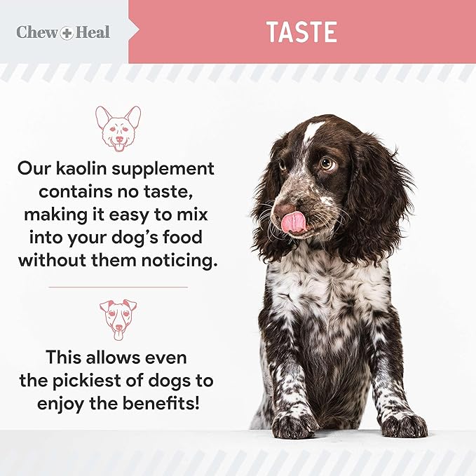 Chew + Heal Labs Anti Diarrhea for Dogs 2oz - Fast Relief Liquid Dog Diarrhea Supplement with Kaolin Pectin Formula - Effective Diarrhea Treatment and Dog Health Upset Stomach Supplement