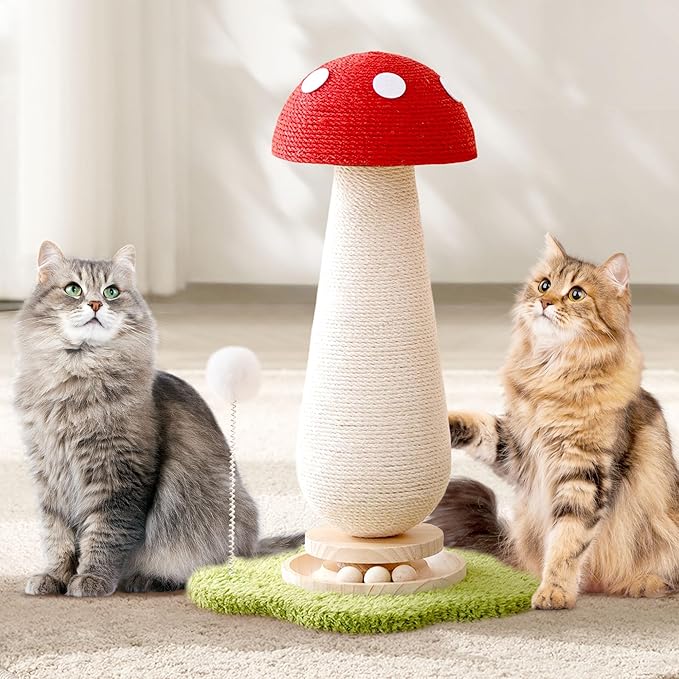 21.5‘’ H Cat Scratching Post with Catnip,Cute Mushroom Cat Scratcher Post with Durable Solid Wood Turntable Toy,Mushroom Shape Design Cat Toy Cat Sisal Scratcher for Indoor Cats (Cloud Base)