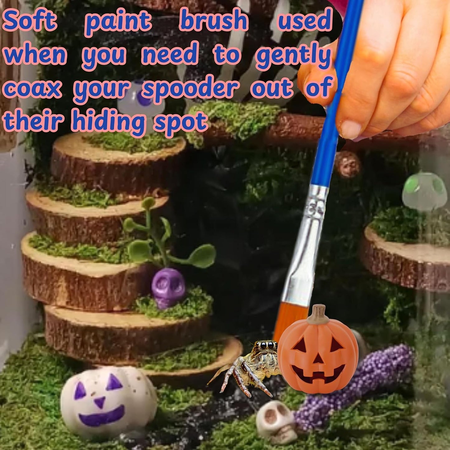 Jumping Spider Enclosure Starter Kit, Tarantula Enclosure Kit, Jumping Spider Accessories, Snail Terrarium Kit, Moss Growing Tool Set, Mini Plant Grow Tool, Reptile Tank Supplies for Habitat (Blue, S)