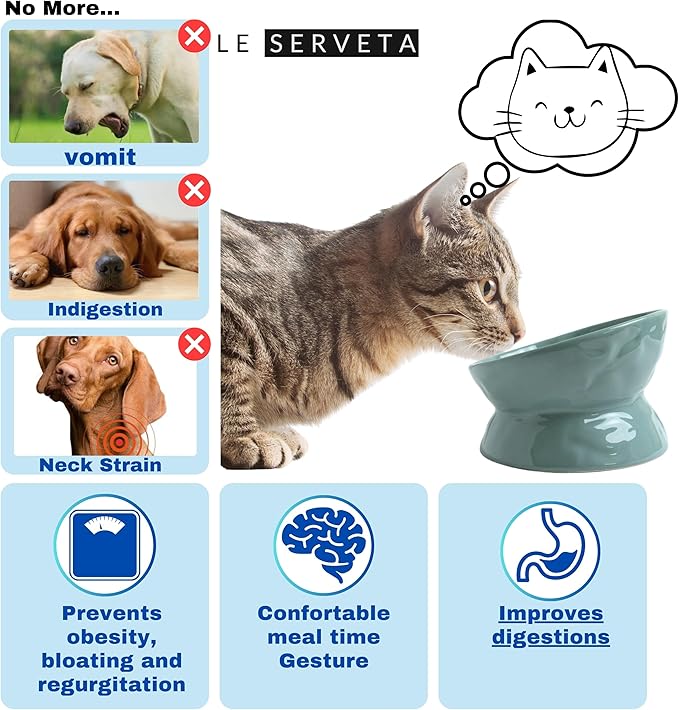 Ceramic Raised Cat Bowl, Elevated Pet Food Bowl for Small Dog, Cute Cat Dish Tilted, Whisker Fatigue, Wrinkle Texture,Teal, Blue (Tilted)