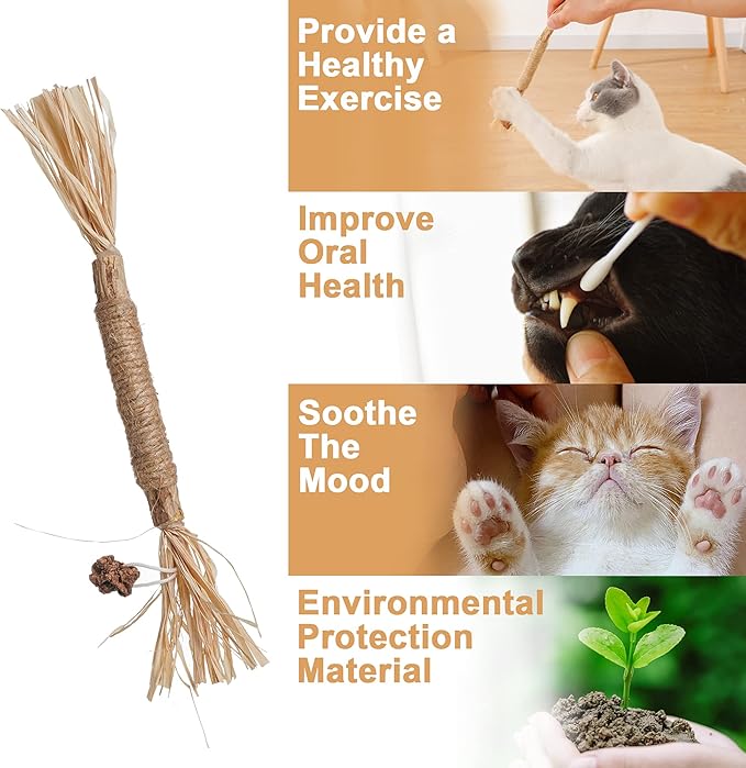 PAZ'S GIFT Cat Toys Catnip Toys Cat Kick Toy Natural Silvervine Catnip Sticks Kitten Teeth Molar Chew Toys, cat Indoor Toys Interactive cat Cleaning Teeth,Reduce Obesity and Loneliness 5-Pack