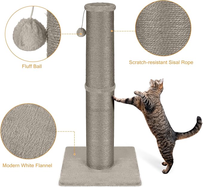 PAWSCRAT Cat Scratching Post 32 Inch High, 5.5 Inch Large Diameter Natural Sisal Cat Scratch Post, Scratch-Resistant and Durable Tall Cat Scratcher for Indoor Cats, Protect Your Furniture, Gery