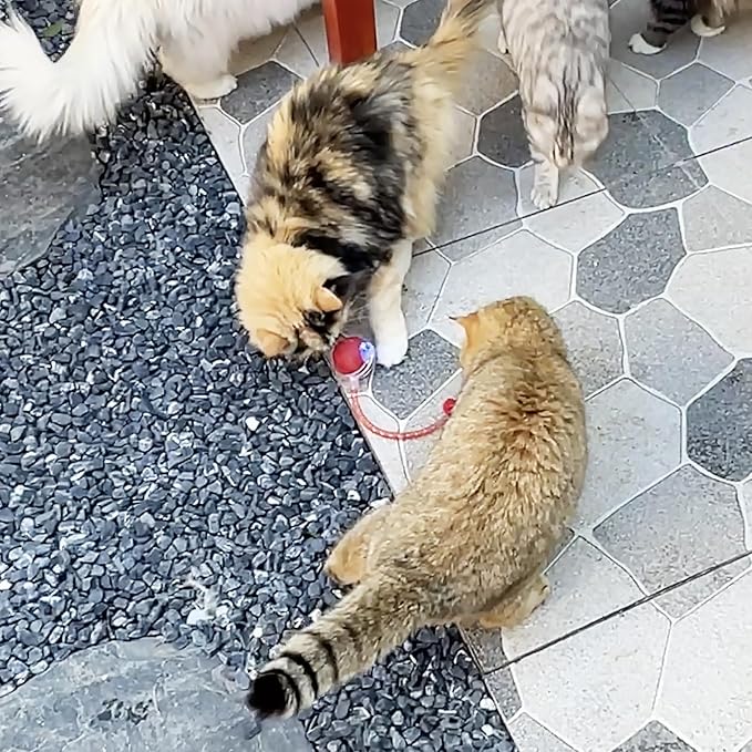 Speedy Tail Ball Toy 3.0 with 3 Play Modes, Bonus Tail, Safe Silicone Surface, Powerful Motor Moving Ball, Interactive Auto Toy for Indoor Bored Kitten & Adult Cats, USB Rechargeable (Red)