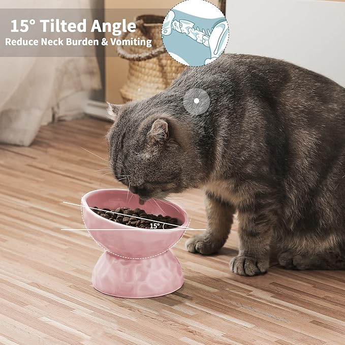 OMAYKEY Ceramic Raised Bowls, Tilted Elevated Food and Water Bowls, Porcelain Stress Free Feeder Bowl Set, Pet Bowl Dish for Cats and Small Dogs, White & Pink, Set of 2