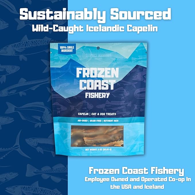Frozen Coast Capelin Cat & Dog Treats- Single-Ingredient, All-Natural, High-Protein, Omega-3s, Fish Snacks (3 oz Bag)