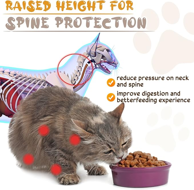 Roshtia 4 Sets Elevated Cat Bowls Ceramic Raised Cat Food Bowls with Metal Stand Dishwasher Safe Dishes Non Slip Elevated Food Plate(Black,Paw)