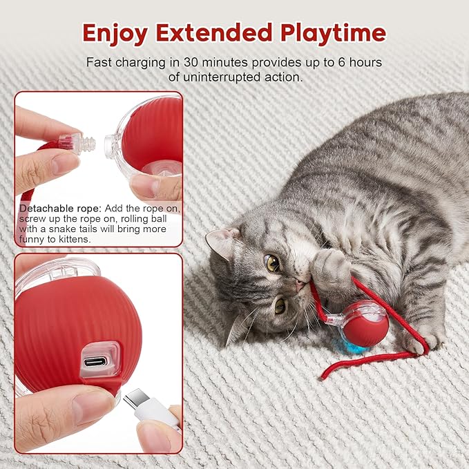 Interactive Dog & Cat Electric Active Toys, Smart Rolling Ball for Dogs & Cats, 360° Smart Automatic Rolling Pet Ball, Fast Moving Toy for Bored Indoor Kitty, Rechargeable(Red)