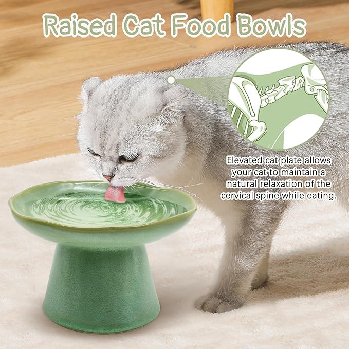 VCEPJH Raised Cat Food Bowls Shallow Cat Plate Ceramic Elevated Cats Dish 6.1in Flat Anti Whisker Fatigue Wide Pet Food & Water Feeder for Indoor Kitty Kitten (Green)