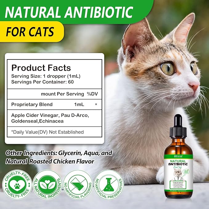 Antibiotics for Cats, Cat Antibiotics for Injections, Natural Cat antibiotic for Immune & Allergy Relief, Cough Relief, Yeast Injection, UTI Treatments, Cats Antibiotic Drops, 60ML