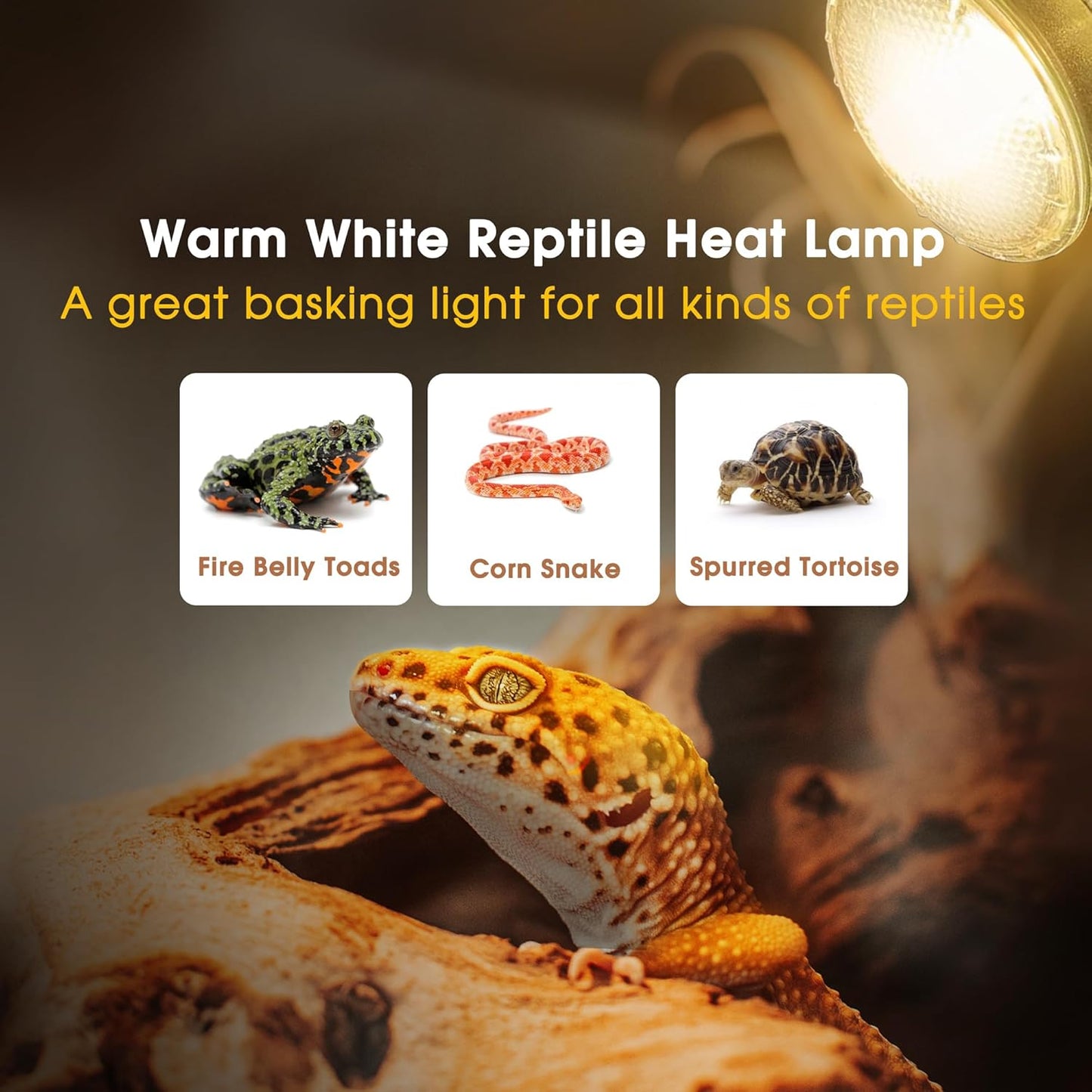 Reptile Heat Bulb 2 Pack, 75W UVA Reptile Light Bulbs, Dimmable Heat Lamp Bulbs Basking Spot Light Bulb for Reptiles, Amphibian, Bearded Dragon, Lizard, Chicken