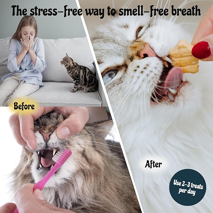 MalsiPree Cat Dental Treats - Chicken Base, 32-Count - Freeze Dried Cat Treats & Dental Chews - Freshens Breath & Minimizes Tartar - Anti-Choke Star Shape - Natural Lysozyme