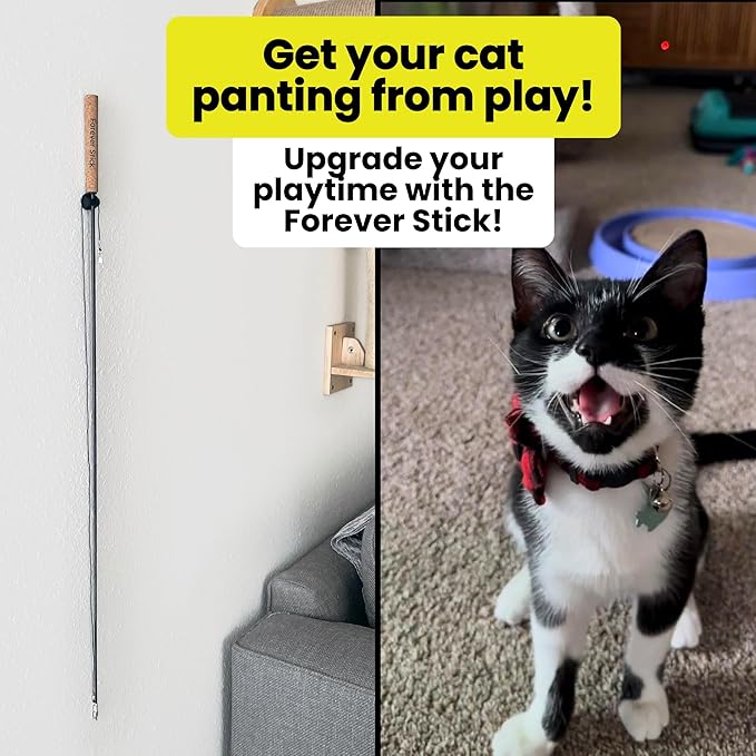 Forever Stick 3 Pack - The Unbreakable Cat Toy Wand, Extra Long Durable Interactive Cat Toy for Indoor Cats, Feather Kitten Toys for Bored Indoor Adult Cats, Bird Teaser Cat Accessories