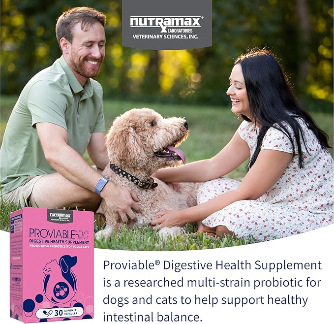 Nutramax Laboratories 30 Count Proviable Health Supplement for Cats and Dogs (PROVDC30)