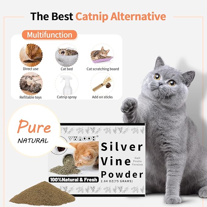 Cat Toys - Silvervine Powder 75g with 5 Little Pouches (Upgrade), Catnip Alternative, 100% Natural Silver Vine Gall Fruit Powder, Matatabi Cat Toy, Suitable for All Cat Ages