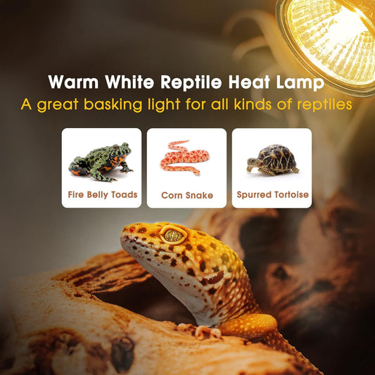 Briignite Reptile Heat Bulb 2 Pack, 50W UVA UVB Reptile Light Bulbs, Dimmable Heat Lamp Bulbs, Basking Light Bulb for Turtle, Beard Dragon Gecko Lizard Amphibians