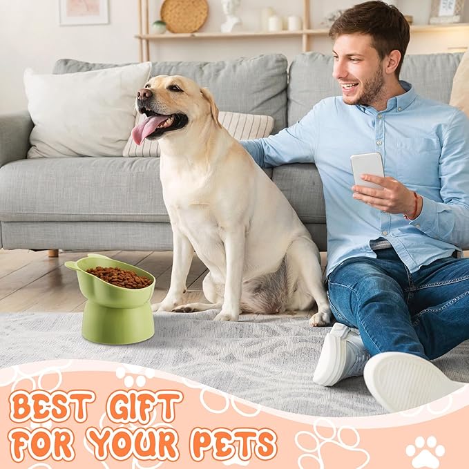 Hsei 6 Pcs Raised Cat Food Bowls 15 Degrees Elevated Pet Bowls Anti Vomiting Tilted Raised Whisker Friendly Raised Cat Dish Plastic Slanted Stand for Indoor Pet Food Water Feeder(Cute Color)