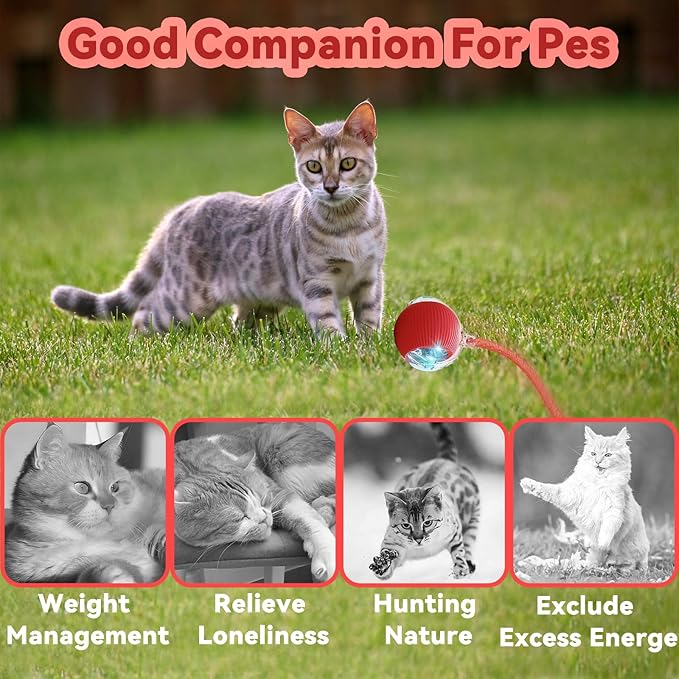 Interactive Cat Toys for Indoor Cats, Automatic Cat Toy with Elastic Mesh Tail, Electric Rolling Ball on Carpet, Chirping and Motion Activate Cat (Green)