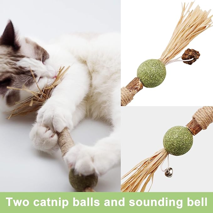PAZ'S GIFT Catnip Toy Cat Toys Catnip Toy cat chew Toy cat Kicking silvervine Stick Teeth Cleaning Cute Kitten Teething Indoor Interactivecat Dental Care Matatabi (Catnip Balls)