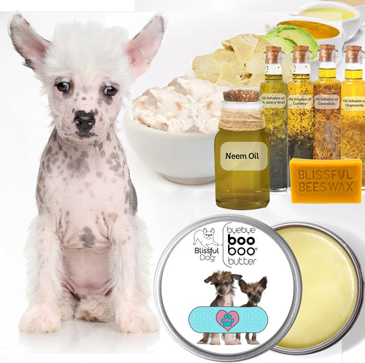 The Blissful Dog Chinese Crested Boo Boo Butter, 16 oz.