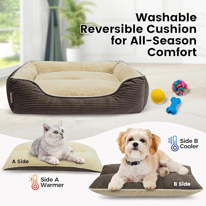 Miguel Dog Bed with Removable Cushion/Pillow for Medium Small Dogs, Washable Pet Bed with Side Easy to Wash Puppy Bed, Large Rectangle Cat Bed for Indoor Cat with Anti-Slip Bottom, Brown 35 Inch