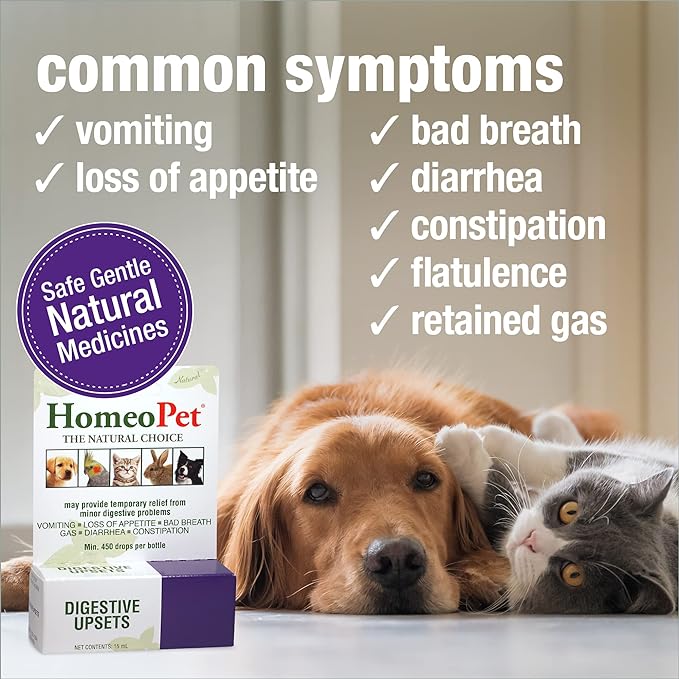 HomeoPet Digestive Upsets, Safe, Gentle, and Natural Cat and Dog Digestive Support, 15 Milliliters