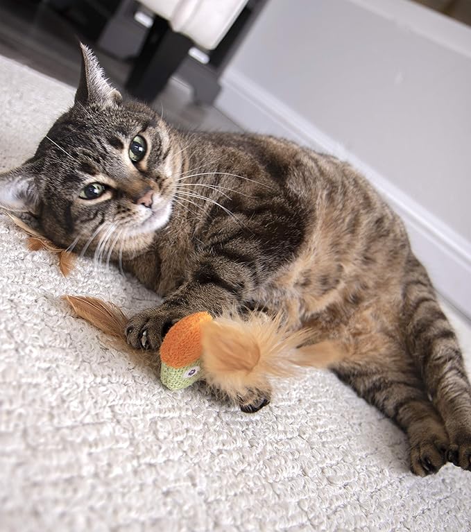 Petlinks (2 Count) HappyNip Love Birds Cat Toys, Contains Silvervine & Catnip - Multi Color, 2 Count