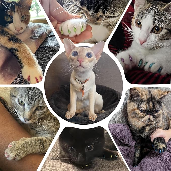 joyous 16x Glitter Colors / 160 pcs | Cat Nail Caps | Cat Claw Covers with Adhesives and Applicators (XS)