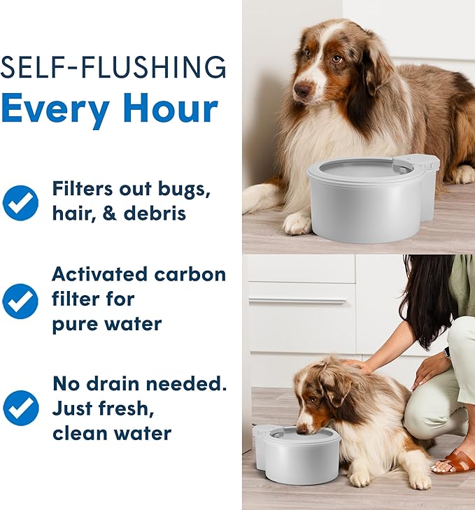 Always Full® 9" Pet Water Bowl and Bottle Pump Bundle, Self-Refilling, Clean Filtered Water, App-Enabled Hydration Monitoring, Easy Upgrade to Wall Unit, Cat and Dog Water Bowls