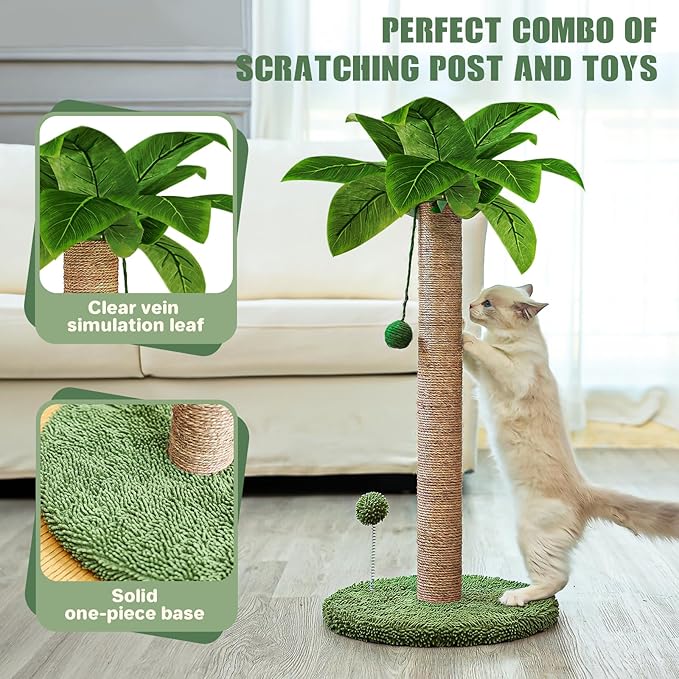 Dohump Cat Scratching Post, 26" Kitten Scratching Post with Premium Sisal Rope, Cute Cat Tree with Dangling and Spring Ball Toys for Indoor Small Cats