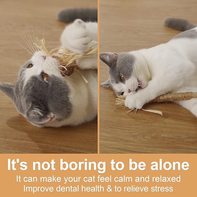 PAZ'S GIFT Cat Toys Catnip Toys Cat Kick Toy Natural Silvervine Catnip Sticks Kitten Teeth Molar Chew Toys, cat Indoor Toys Interactive cat Cleaning Teeth,Reduce Obesity and Loneliness 5-Pack