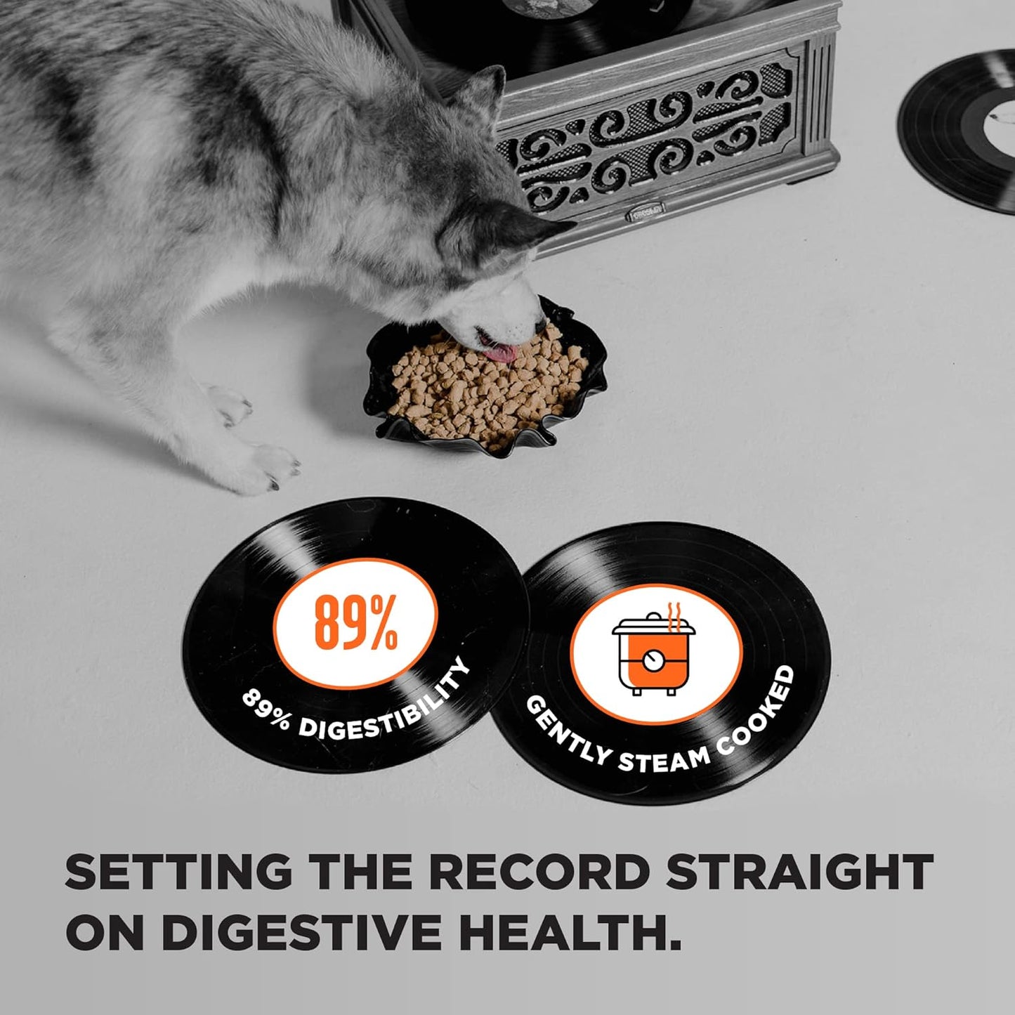 BIXBI Liberty Grain Free Dry Dog Food, Chicken Recipe, 22 lbs - Fresh Meat, No Meat Meal, No Fillers for Easy Digestion - USA Made