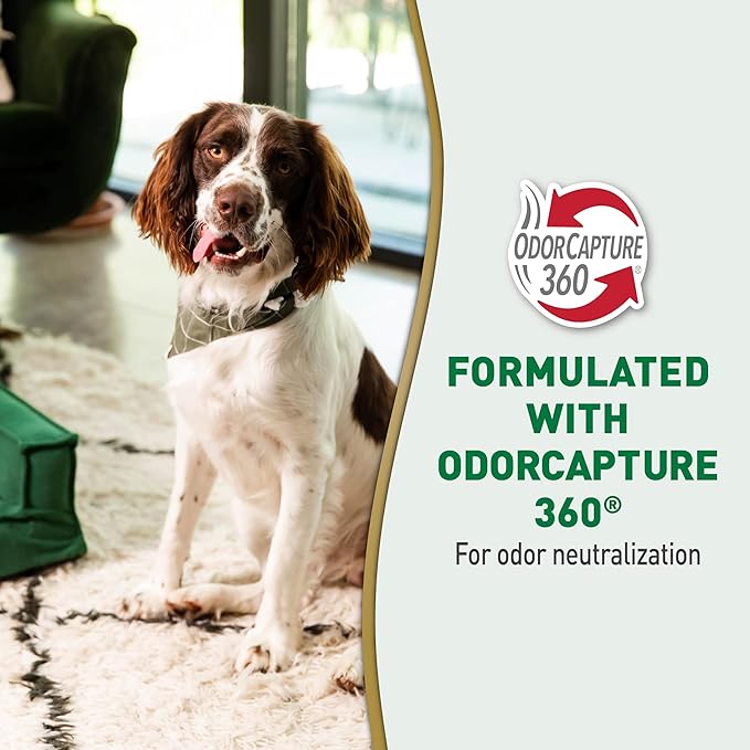 Nature's Miracle Urine Destroyer Plus for Dogs with Flip & Go Sprayer, 64 Ounces, Enzymatic Formula for Dogs Powers Out Tough Dog Urine Messes and Yellow, Sticky Residue