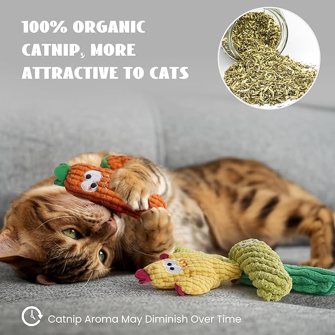 5 Pack Cactus Catnip Toys, 100% Pure Organic Catnip Filled Toys for Indoor Cats, Interactive Plush Chew Fun Without Cotton, Teething Soft Pet Toys for Kittens Kitty